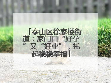 泰山区徐家楼街道：家门口“好孕”又“好业”，托起稳稳幸福
