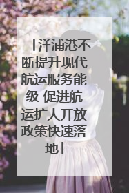 洋浦港不断提升现代航运服务能级 促进航运扩大开放政策快速落地