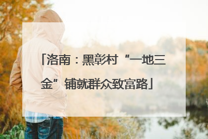 洛南：黑彰村“一地三金”铺就群众致富路