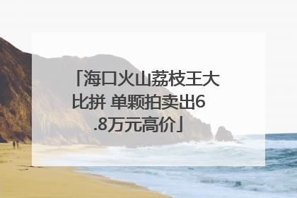 海口火山荔枝王大比拼 单颗拍卖出6.8万元高价