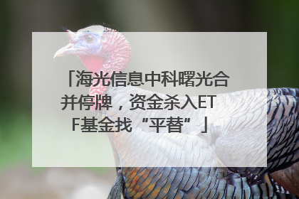 海光信息中科曙光合并停牌，资金杀入ETF基金找“平替”