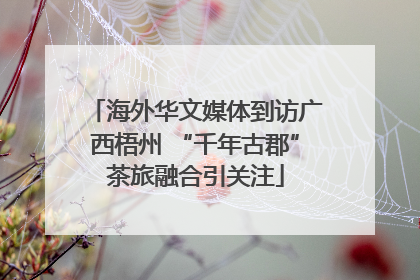 海外华文媒体到访广西梧州 “千年古郡”茶旅融合引关注