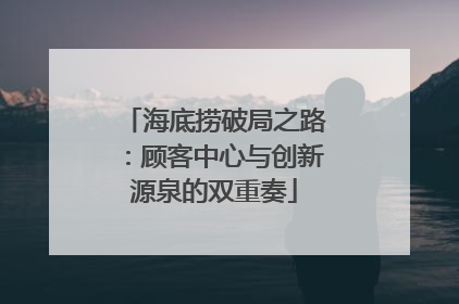 海底捞破局之路：顾客中心与创新源泉的双重奏