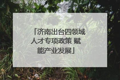 济南出台四领域人才专项政策 赋能产业发展