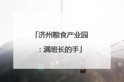 济州粮食产业园：满班长的手