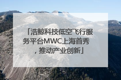 浩鲸科技低空飞行服务平台MWC上海首秀，推动产业创新