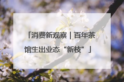消费新观察｜百年茶馆生出业态“新枝”