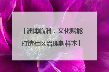 淄博临淄：文化赋能 打造社区治理新样本