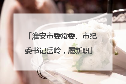 淮安市委常委、市纪委书记岳岭，履新职