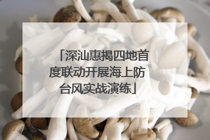 深汕惠揭四地首度联动开展海上防台风实战演练