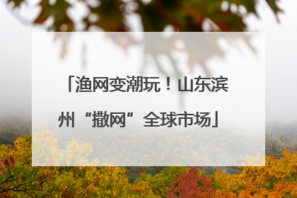 渔网变潮玩！山东滨州“撒网”全球市场
