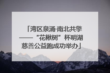 湾区泉涌·南北共擎——“花楸树”杯明湖慈善公益跑成功举办