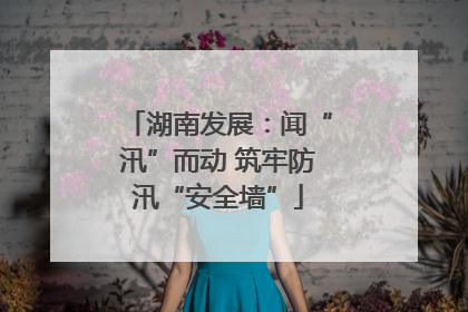 湖南发展：闻“汛”而动 筑牢防汛“安全墙”