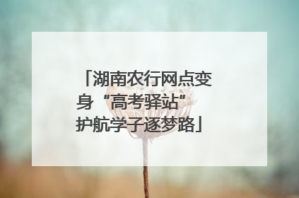 湖南农行网点变身“高考驿站” 护航学子逐梦路