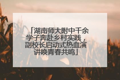 湖南师大附中千余学子奔赴乡村实践，副校长启动式热血演讲唤青春共鸣