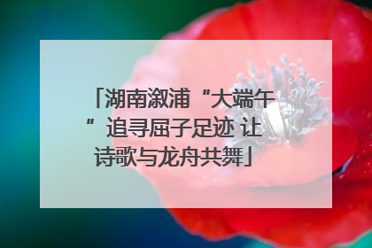 湖南溆浦“大端午”追寻屈子足迹 让诗歌与龙舟共舞