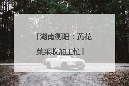 湖南衡阳：黄花菜采收加工忙