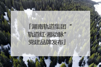 湖南轨道集团“轨道红·湘动脉”党建品牌发布