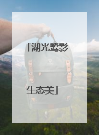 湖光鹭影生态美