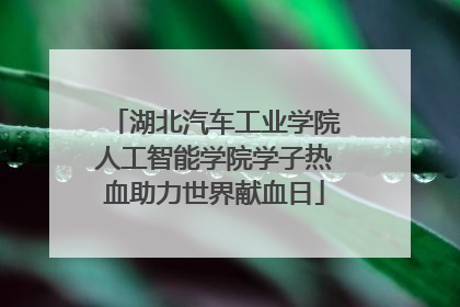 湖北汽车工业学院人工智能学院学子热血助力世界献血日