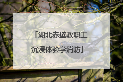 湖北赤壁教职工沉浸体验学消防