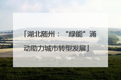 湖北随州：“绿能”涌动助力城市转型发展