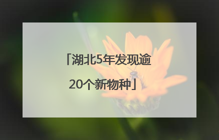 湖北5年发现逾20个新物种