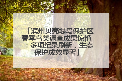滨州贝壳堤岛保护区春季鸟类调查成果惊艳：多项纪录刷新，生态保护成效显著