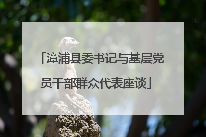 漳浦县委书记与基层党员干部群众代表座谈