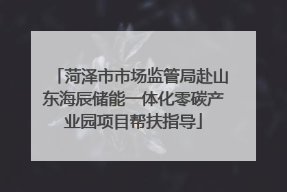 菏泽市市场监管局赴山东海辰储能一体化零碳产业园项目帮扶指导