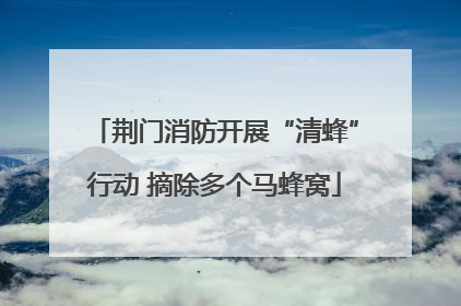 荆门消防开展“清蜂”行动 摘除多个马蜂窝