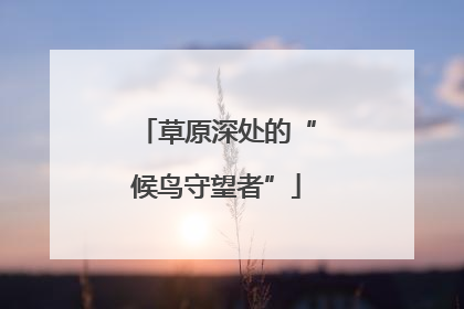 草原深处的“候鸟守望者”