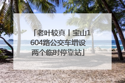 老叶较真丨宝山1604路公交车增设两个临时停靠站