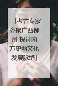 考古专家齐聚广西柳州 探讨南方史前文化发展脉络
