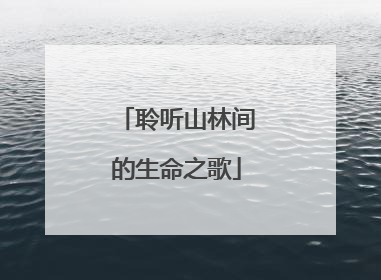 聆听山林间的生命之歌