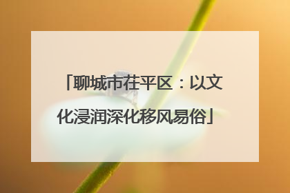 聊城市茌平区：以文化浸润深化移风易俗