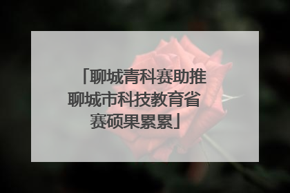 聊城青科赛助推聊城市科技教育省赛硕果累累
