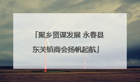 聚乡贤谋发展 永春县东关镇商会扬帆起航