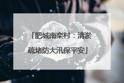 肥城南栾村：清淤疏堵防大汛保平安