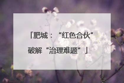 肥城：“红色合伙”破解“治理难题”