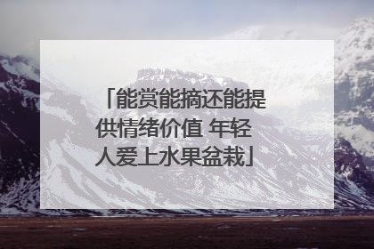 能赏能摘还能提供情绪价值 年轻人爱上水果盆栽