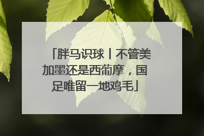 胖马识球丨不管美加墨还是西葡摩，国足唯留一地鸡毛