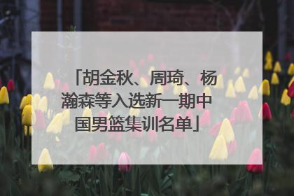 胡金秋、周琦、杨瀚森等入选新一期中国男篮集训名单