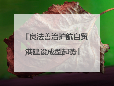 良法善治护航自贸港建设成型起势