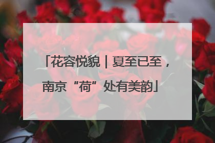 花容悦貌｜夏至已至，南京“荷”处有美韵