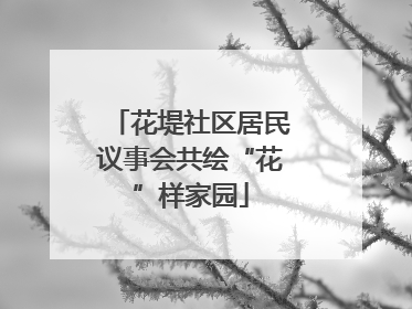 花堤社区居民议事会共绘“花”样家园
