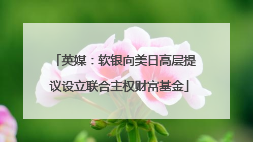 英媒：软银向美日高层提议设立联合主权财富基金