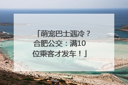 萌宠巴士遇冷？合肥公交：满10位乘客才发车！