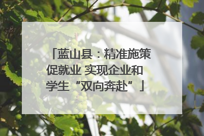 蓝山县：精准施策促就业 实现企业和学生“双向奔赴”