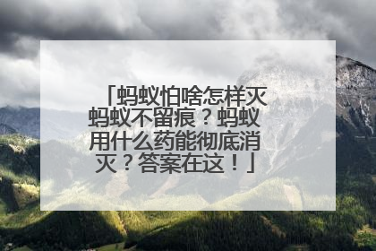 蚂蚁怕啥怎样灭蚂蚁不留痕？蚂蚁用什么药能彻底消灭？答案在这！
